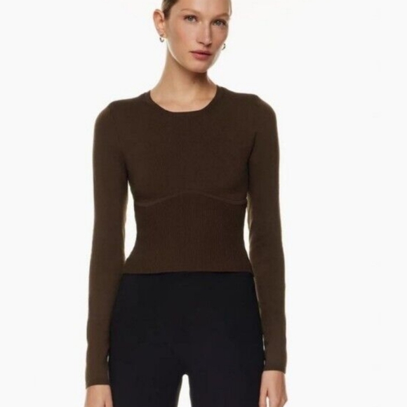 Aritzia Sweaters - Babaton Sculpt Knit Empire Long Sleeve Corset Top Brown